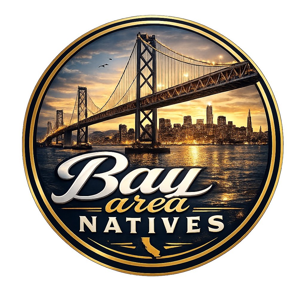510 Bay Area
